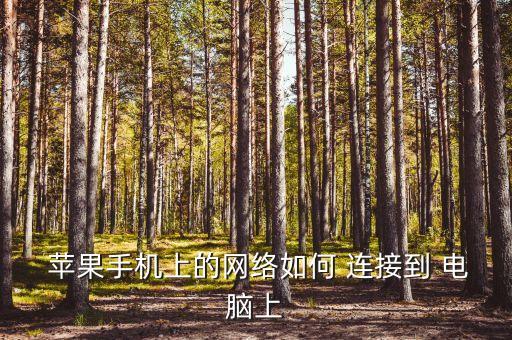  蘋果手機上的網(wǎng)絡(luò)如何 連接到 電腦上