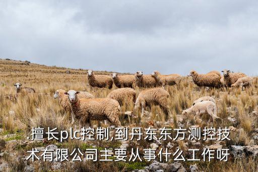 志航自動(dòng)化有限公司招聘,國(guó)電南京自動(dòng)化有限公司招聘