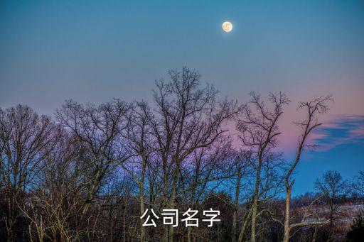 科為源自動(dòng)化技術(shù)有限公司,袁尚自動(dòng)化技術(shù)有限公司