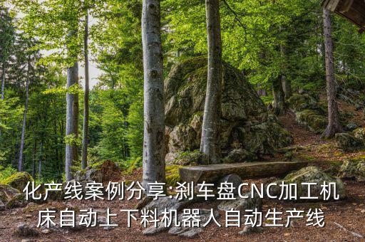 自動化數(shù)控加工設(shè)備,數(shù)控加工自動化生產(chǎn)線