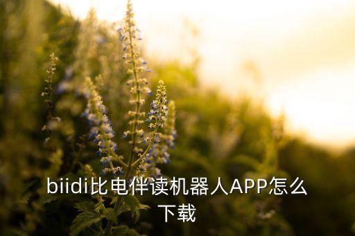 biidi比電伴讀機器人APP怎么下載
