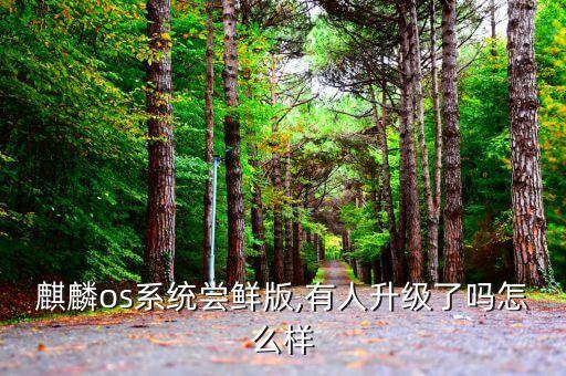 迅雷嘗鮮版,榮耀升級正式版是不是嘗鮮?