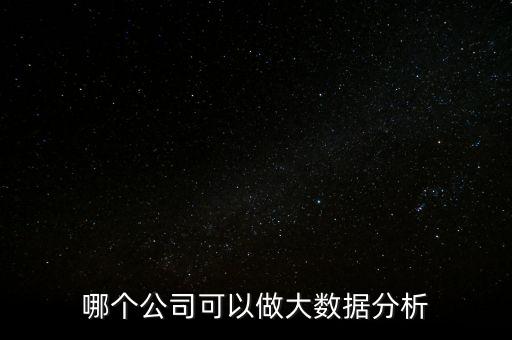 哪個公司可以做大數(shù)據(jù)分析