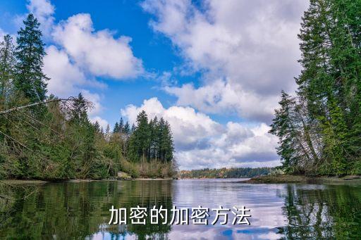 123456789-0/,企業(yè)數(shù)據(jù)加密