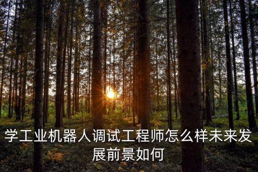 杭州機(jī)器人產(chǎn)業(yè)聯(lián)盟,廣州機(jī)器人產(chǎn)業(yè)聯(lián)盟