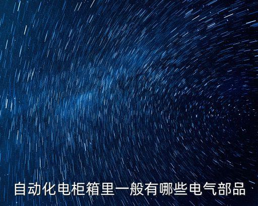 自動化電柜箱里一般有哪些電氣部品