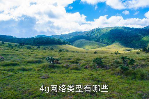4g網(wǎng)絡(luò)類型有哪些