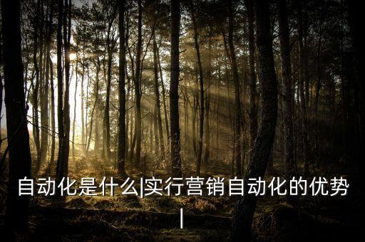 自動化是什么|實行營銷自動化的優(yōu)勢|