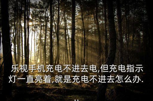  樂(lè)視手機(jī)充電不進(jìn)去電,但充電指示燈一直亮著,就是充電不進(jìn)去怎么辦...