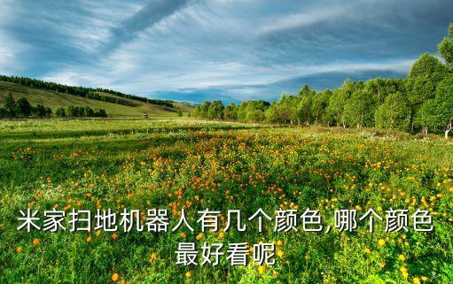 米家掃地機器人有幾個顏色,哪個顏色最好看呢