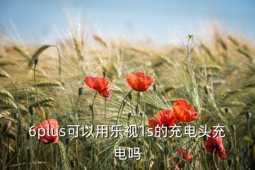 6plus可以用樂視1s的充電頭充電嗎