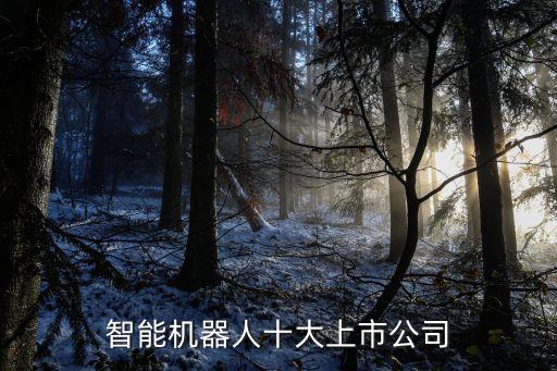 智能機器人十大上市公司