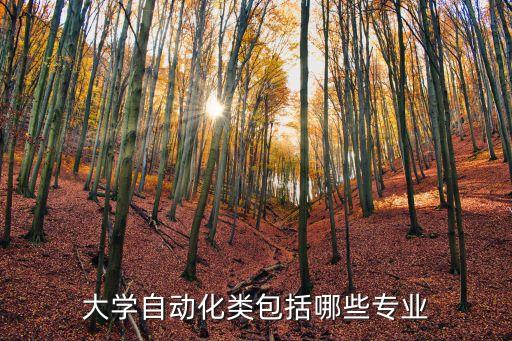山東濟(jì)南自動(dòng)化專業(yè)就業(yè),自動(dòng)化專業(yè)就業(yè)方向