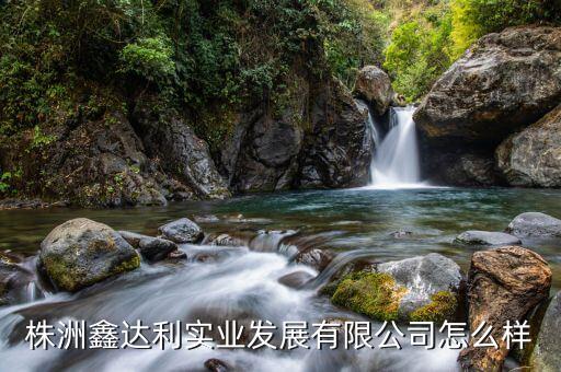 株洲鑫達(dá)利實(shí)業(yè)發(fā)展有限公司怎么樣