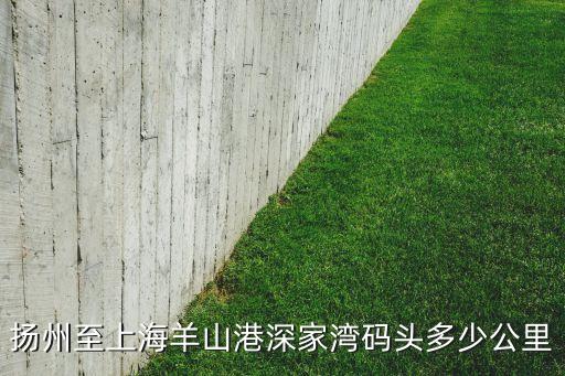 揚州至上海羊山港深家灣碼頭多少公里