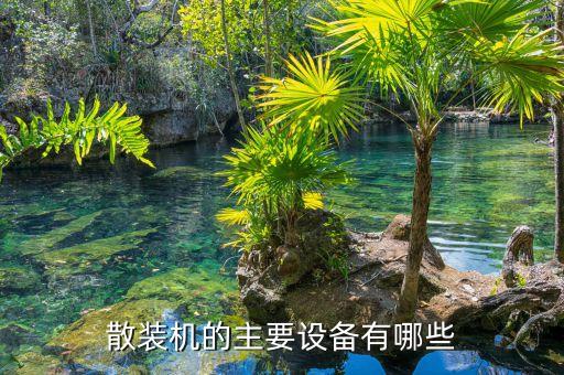 散裝機的主要設(shè)備有哪些