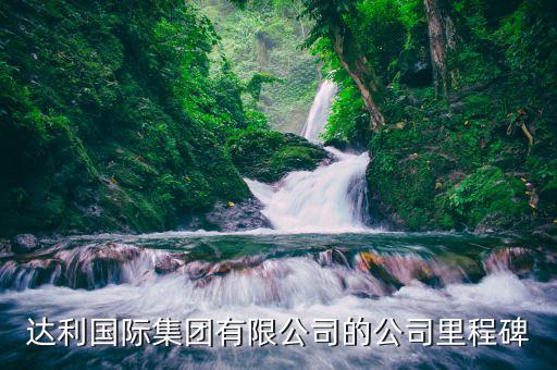 達(dá)利國際集團(tuán)有限公司的公司里程碑