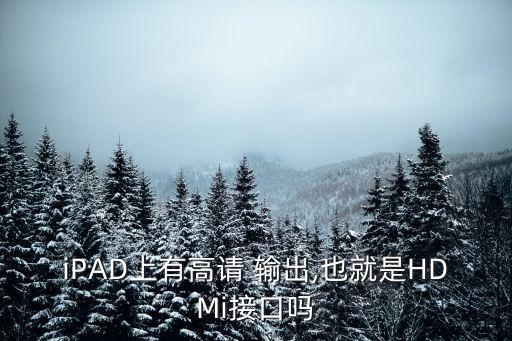 能輸出高清數(shù)據(jù)的平板電腦,平板電腦有高清輸出接口嗎?