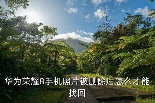 華為榮耀8手機數(shù)據(jù)恢復(fù),華為榮耀8手機照片怎么恢復(fù)?