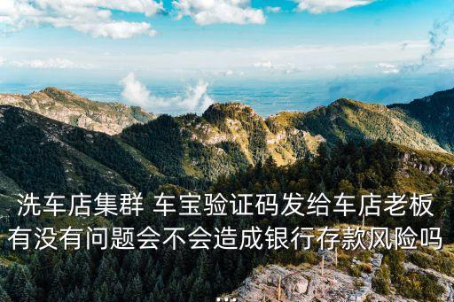 車(chē)寶數(shù)據(jù)服務(wù)系統(tǒng)客戶