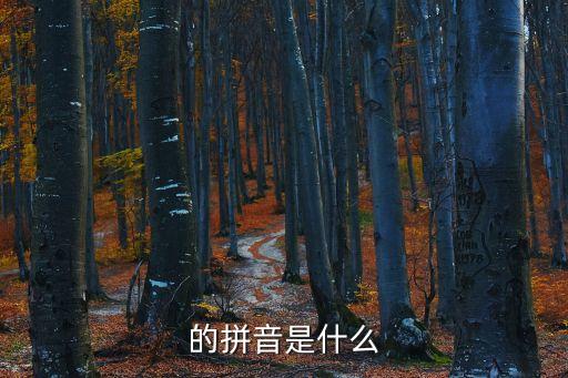 水管機(jī)器人臺(tái)燈參解,掃地機(jī)器人如何連接水管?