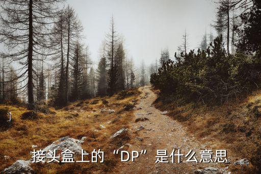 接頭盒上的“DP”是什么意思