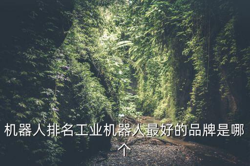 國(guó)際自動(dòng)化機(jī)器人公司排名,自動(dòng)化機(jī)器人公司排名
