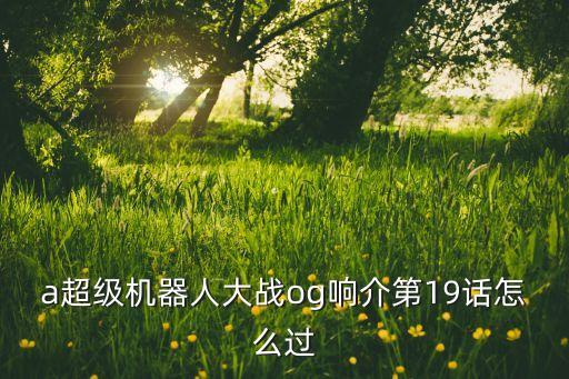 卡斯特機器人,代理Scastu機器人