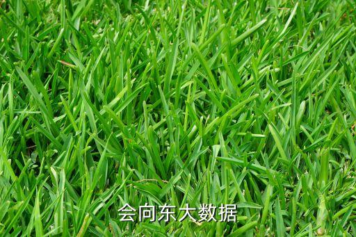 會向東大數(shù)據(jù)