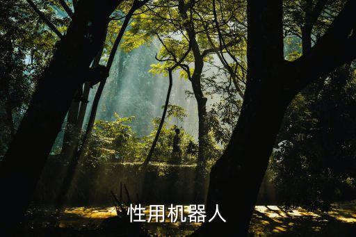 性用機(jī)器人