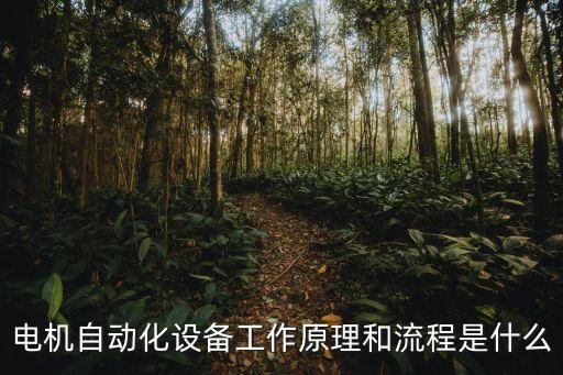 電機自動化設(shè)備工作原理和流程是什么