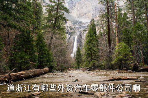 道浙江有哪些外資汽車(chē)零部件公司啊