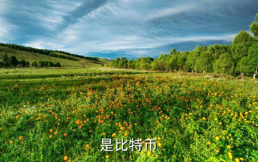 比特幣詳細(xì)數(shù)據(jù),比特幣是什么?