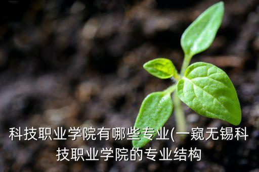 科技職業(yè)學(xué)院有哪些專業(yè)(一窺無錫科技職業(yè)學(xué)院的專業(yè)結(jié)構(gòu)