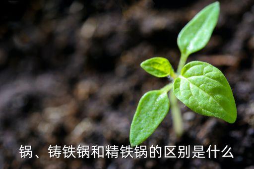 鍋、鑄鐵鍋和精鐵鍋的區(qū)別是什么