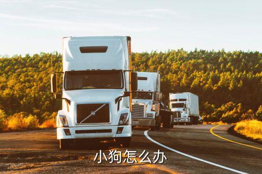 好狗狗身邊 數據,狗喜歡在主人身邊