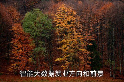 智能維護 大數(shù)據(jù),大數(shù)據(jù)與大智能