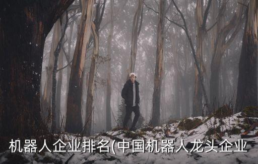 機(jī)器人企業(yè)排名(中國(guó)機(jī)器人龍頭企業(yè)