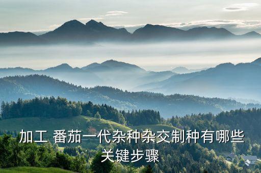 自動化番茄加工設(shè)備,番茄丁加工設(shè)備
