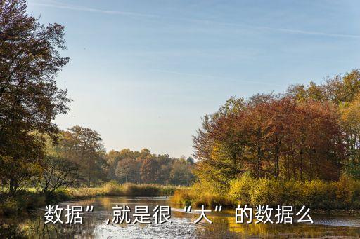 數(shù)據(jù)”,就是很“大”的數(shù)據(jù)么