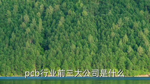 pcb行業(yè)前三大公司是什么