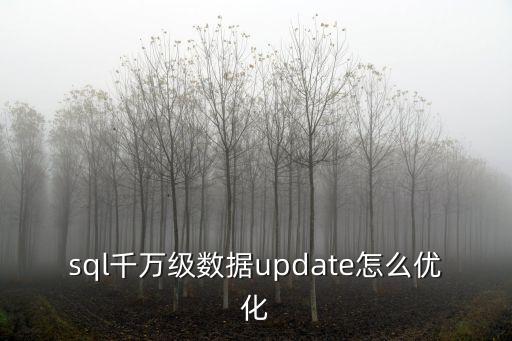 sql千萬(wàn)級(jí)數(shù)據(jù)update怎么優(yōu)化