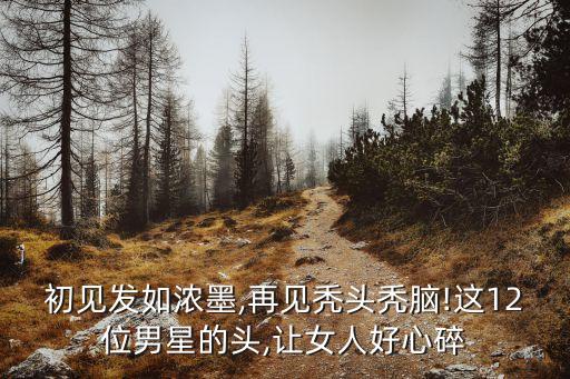 初見發(fā)如濃墨,再見禿頭禿腦!這12位男星的頭,讓女人好心碎