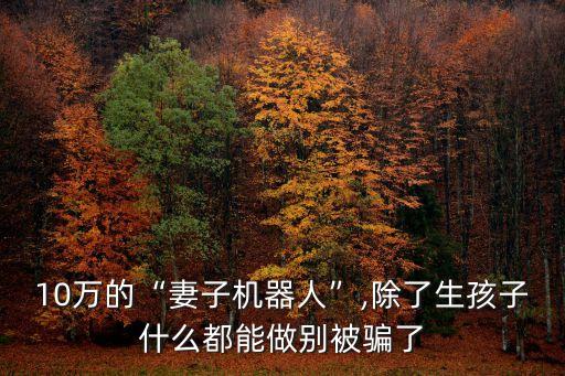 10萬的“妻子機(jī)器人”,除了生孩子什么都能做別被騙了