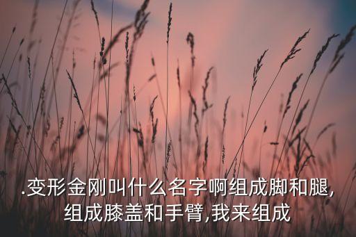.變形金剛叫什么名字啊組成腳和腿,組成膝蓋和手臂,我來組成