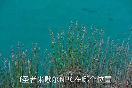 dnf米歇爾,DNF米歇爾圖片