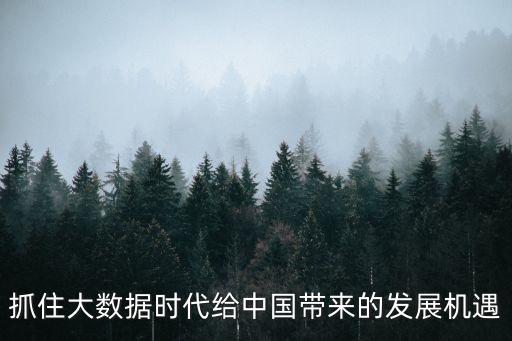 抓住大數(shù)據(jù)時(shí)代給中國(guó)帶來(lái)的發(fā)展機(jī)遇