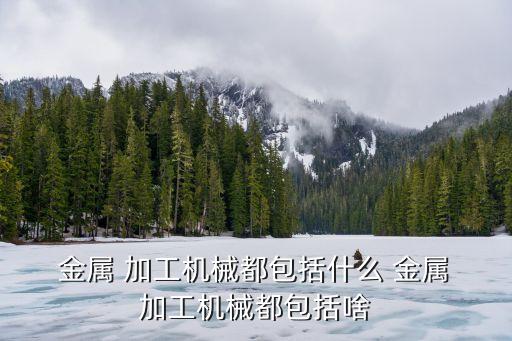 金屬加工非標(biāo)自動化設(shè)備