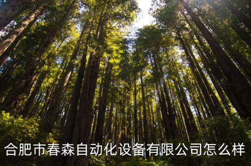 合肥市春森自動化設備有限公司怎么樣