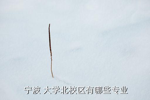 寧波電氣自動(dòng)化 大學(xué),湖南電氣自動(dòng)化專業(yè)有哪些大學(xué)